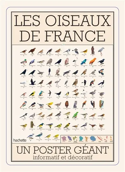 Les oiseaux de France : un poster géant informatif et décoratif