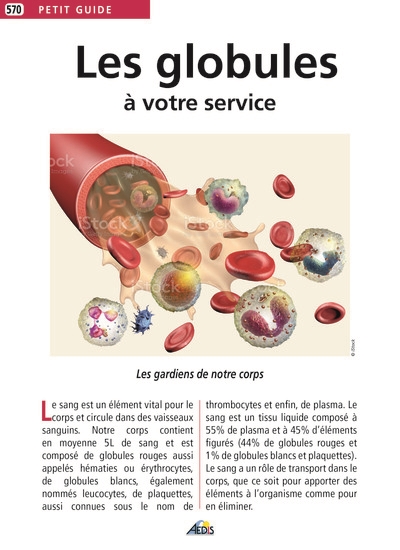 Les globules à votre...