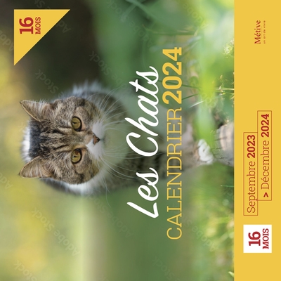 Les chats : calendrier 2024 : 16 mois, septembre 2023-décembre 2024