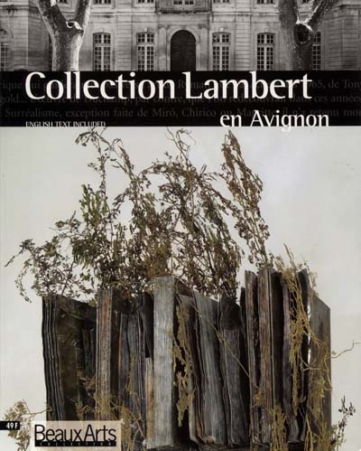Collection Lambert en Avignon