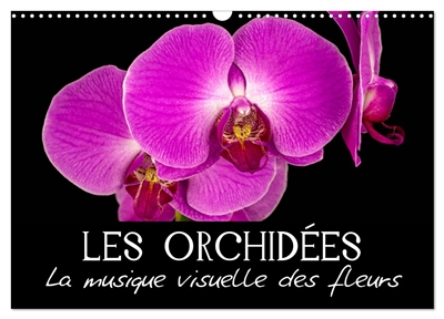 Les Orchidées : La musique...