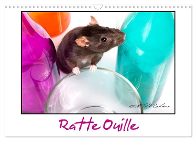 Ratte Ouille (Calendrier mural 2026 DIN A3 vertical), CALVENDO calendrier mensuel : Gentille muridée