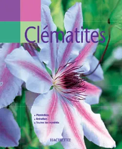 Clématites