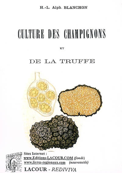 Culture des champignons et de la truffe