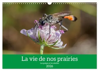 La vie de nos prairies : Les guêpes et les abeilles (Calendrier mural 2026 DIN A3 vertical), CALVENDO calendrier mensuel : La vie intime de nos prairies. A la rencontre des guêpes et abeilles