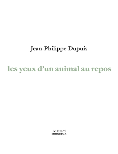 Les yeux d'un animal au repos