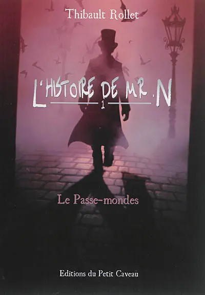 L'histoire de Mr N.. Vol. 1. Le passe-mondes