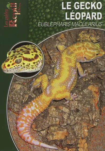 Le gecko léopard : Eublepharis macularius