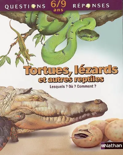 Tortues, lézards et autres reptiles