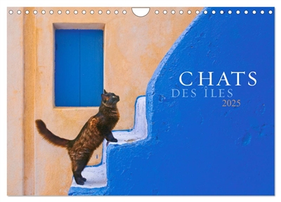 Chats des îles (Calendrier mural 2025 DIN A4 vertical), CALVENDO calendrier mensuel : De belles photos de la magie et de l'âme des chats dans les îles grecques