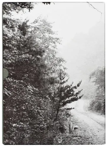 John Cage & William Gedney Iris Garden
