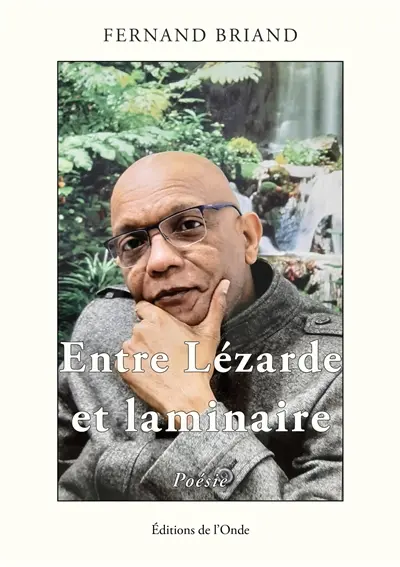 Entre lézarde et laminaire