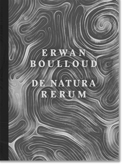 Erwan Boulloud : de natura rerum