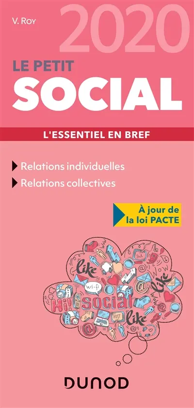 Le petit social 2020 : l'essentiel en bref