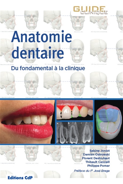 Anatomie dentaire : du fondamental à la clinique