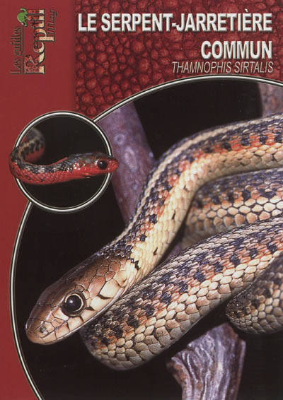 Le serpent-jarretière commun : Thamnophis sirtalis