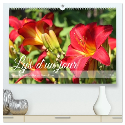 Lys d'un jour (Calendrier...