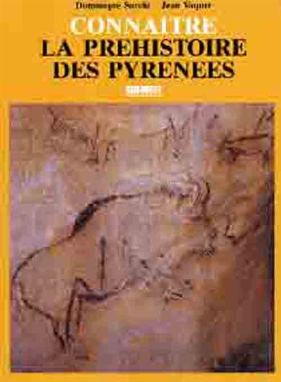 Connaître la préhistoire des Pyrénées