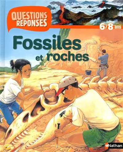 Fossiles et roches