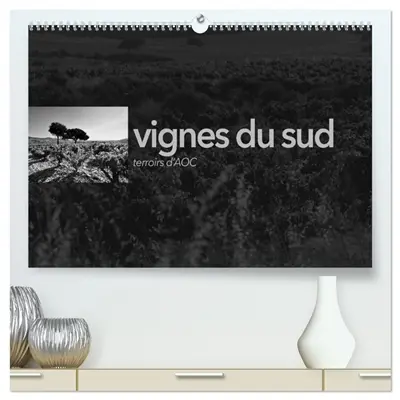 VIGNES DU SUD terroirs d'AOC (Calendrier mural 2026 DIN A2 vertical) calendrier de bureau : Paysages des terroirs viticoles AOC du sud de la France