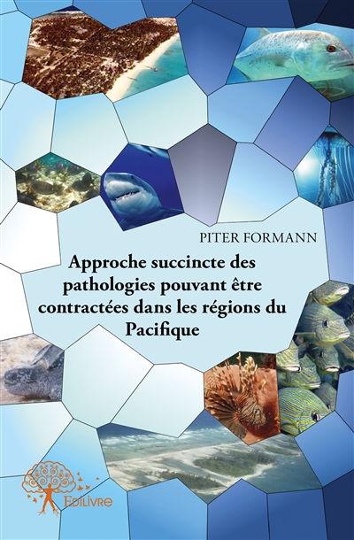 Approche succincte des...