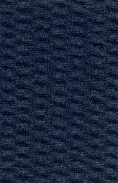 Les neiges labiles : une histoire culturelle de l'avalanche au XVIIIe siècle