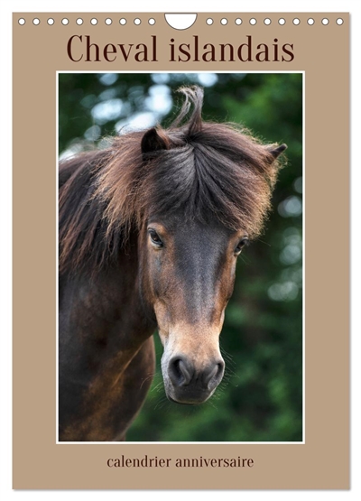 Cheval islandais :...