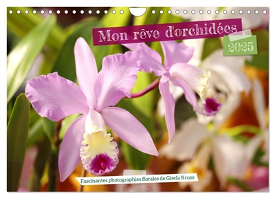 Mon rêve d'orchidées (Calendrier mural 2025 DIN A4 vertical), CALVENDO calendrier mensuel : Des fleurs d'orchidées variées en photographies expressives