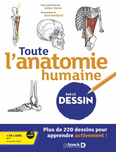 Toute l'anatomie humaine par le dessin