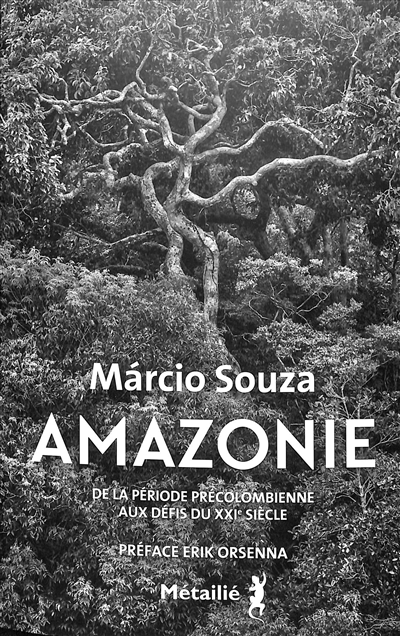 Amazonie : histoire de la période précolombienne aux défis du XXIe siècle