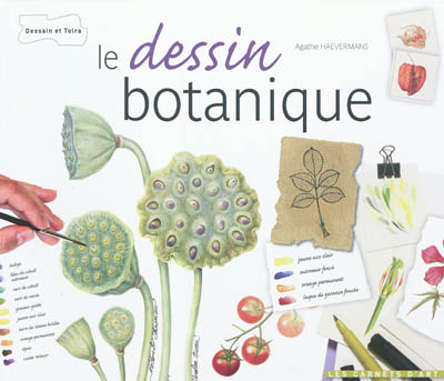 Le dessin botanique