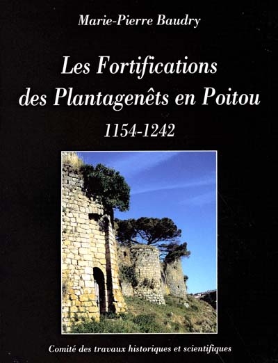 Les fortifications des Plantagenêts en Poitou : 1154-1242