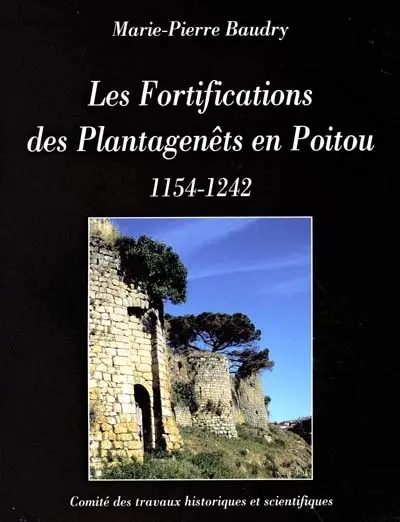 Les fortifications des Plantagenêts en Poitou : 1154-1242