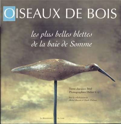 Oiseaux de bois du bord de mer : les plus belles blettes de la baie de Somme