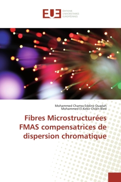 Fibres Microstructurees...