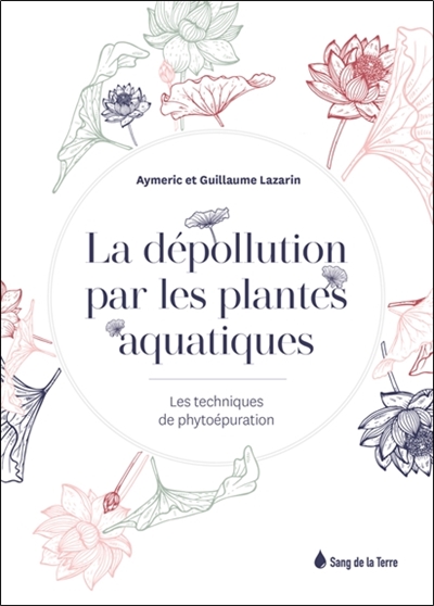 La dépollution par les plantes aquatiques : les techniques de phytoépuration