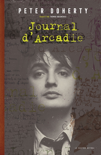 Journal d'Arcadie : carnets intimes 2008-2013