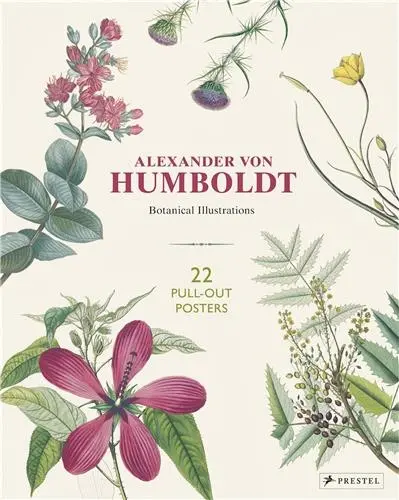 Alexander Von Humboldt Botanical Illustrations 22 Pull-Out Posters