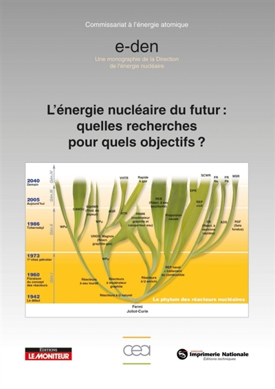 L'énergie nucléaire du futur : quelles recherches pour quels objectifs ? : une introduction aux monographies DEN