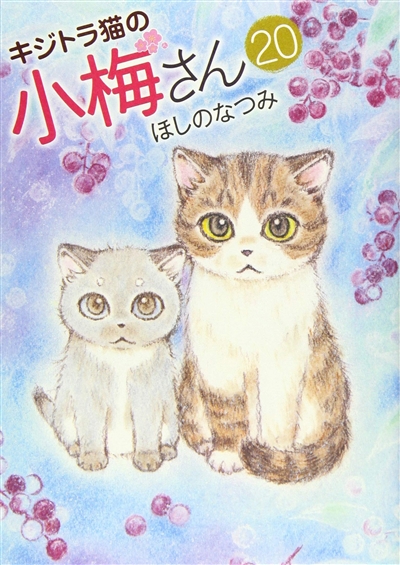 Plum, un amour de chat....