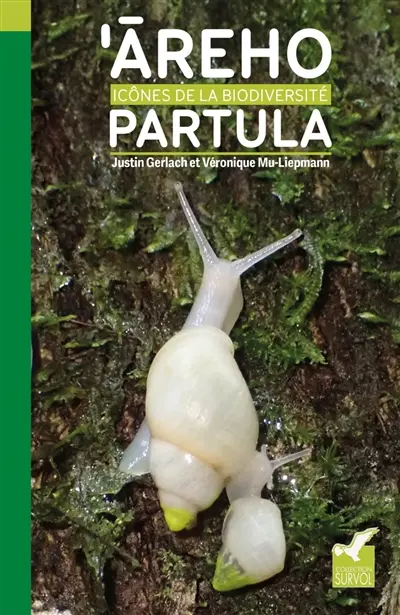 'Areho partula : icônes de la biodiversité 'Areho partula : icônes de la biodiversité