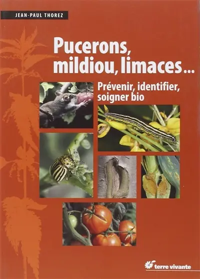 Pucerons, mildiou, limaces... : prévenir, identifier, soigner bio