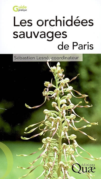 Les orchidées sauvages de Paris