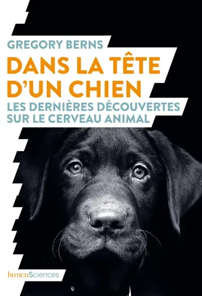 Dans la tête d'un chien : les dernières découvertes sur le cerveau animal