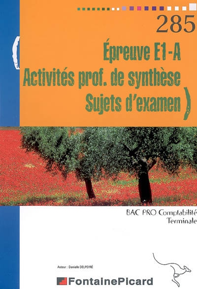 Epreuve E1-A, activités professionnelles de synthèse, sujets d'examen terminale bac pro comptabilité