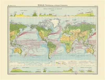 Le monde : végétation et courants marins. World : vegetation and ocean currents