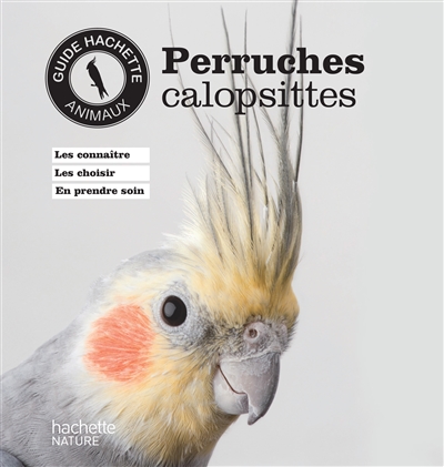 Perruches calopsittes