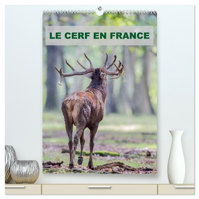 LE CERF EN FRANCE...