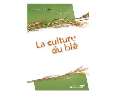 La culture du blé