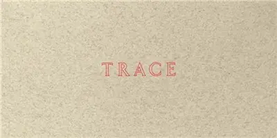 Jenny Holzer : Trace